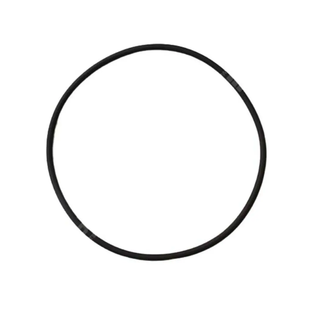 Joint De Cuve Filtre FNS - Pentair 1 Joint De Cuve Filtre FNS - Pentair